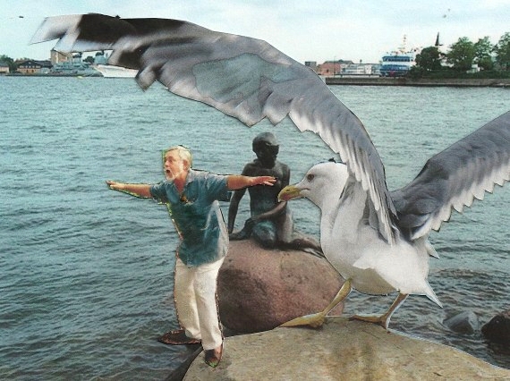 collage: base picture, cutout of me, cutout of gull
